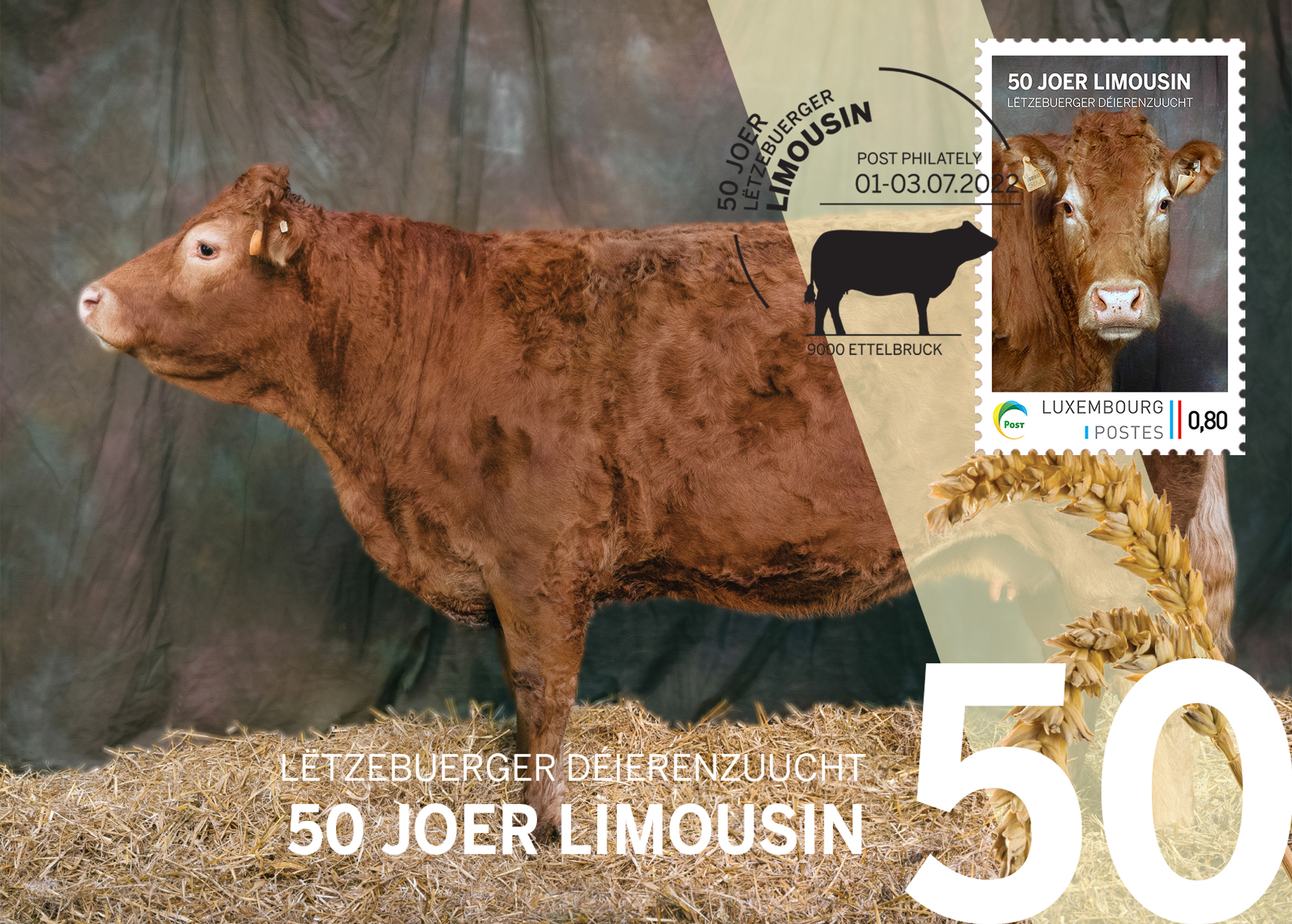 Card meng.post - 50 Joer Limousin