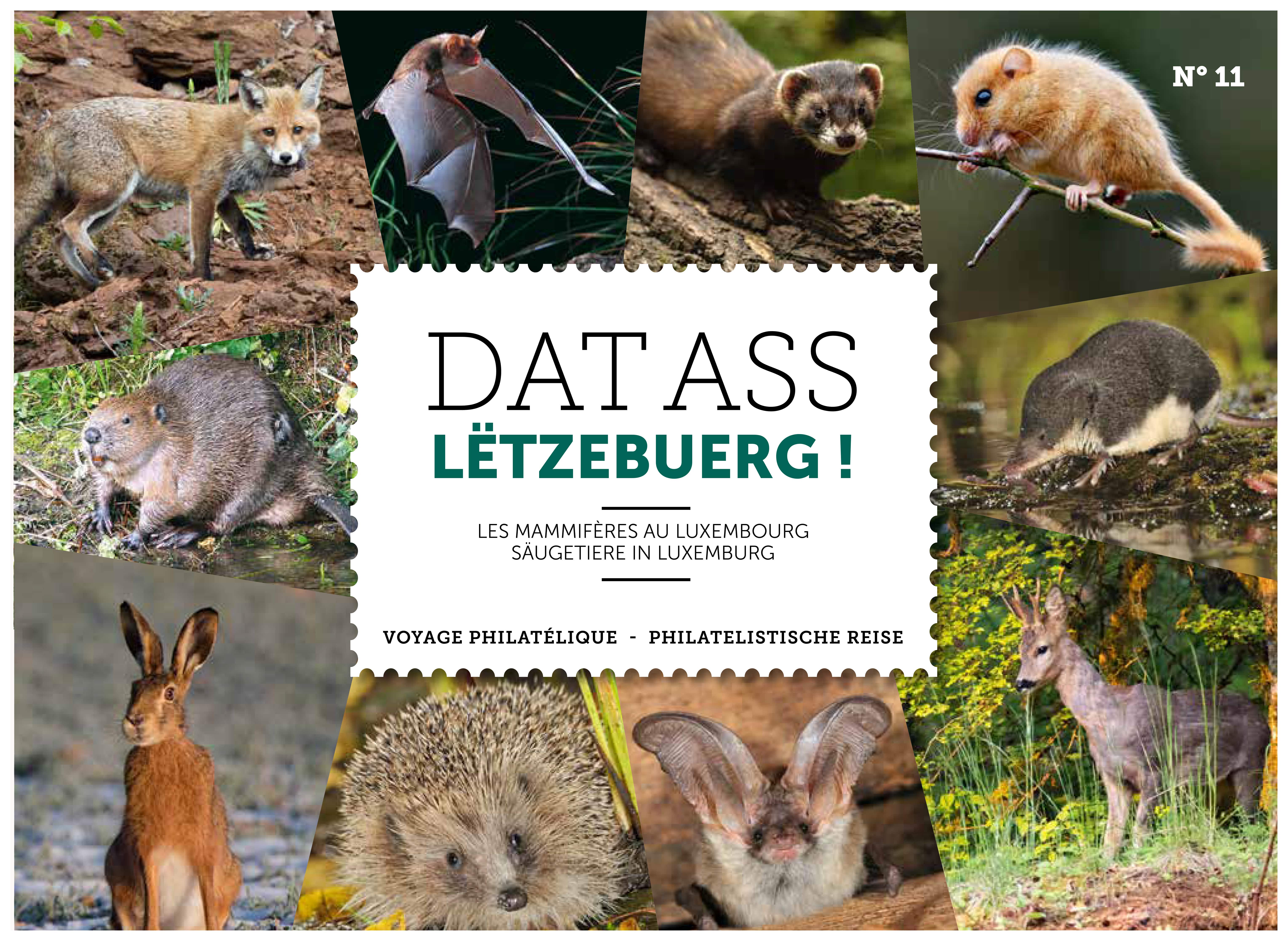 Livre Dat ass Letzebuerg N°11 (animaux)