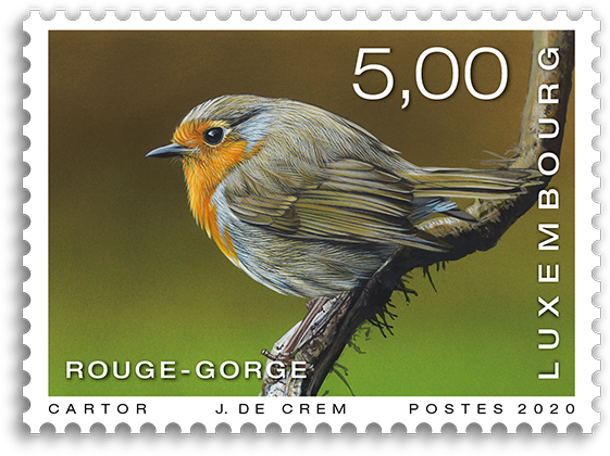 oiseaux - Rougegorge familier 5,00