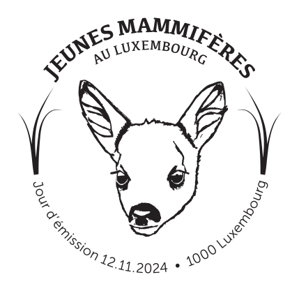 Mammifères 3