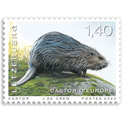 animals - European beaver