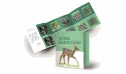 Booklet Young wild mammals 2024 [L50g]