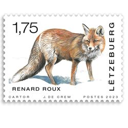 Animaux - Renard roux