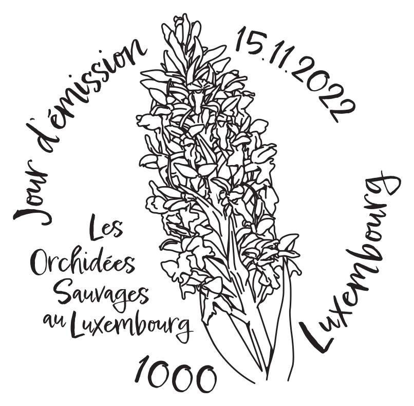 Die wilden Orchideen in Luxembourg