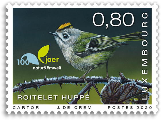 100 ans Natur & Ëmwelt - roitelet huppé