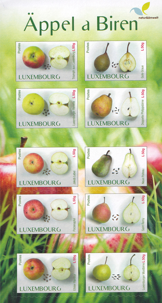 Carnet Variétés de fruits 10,00 EUR