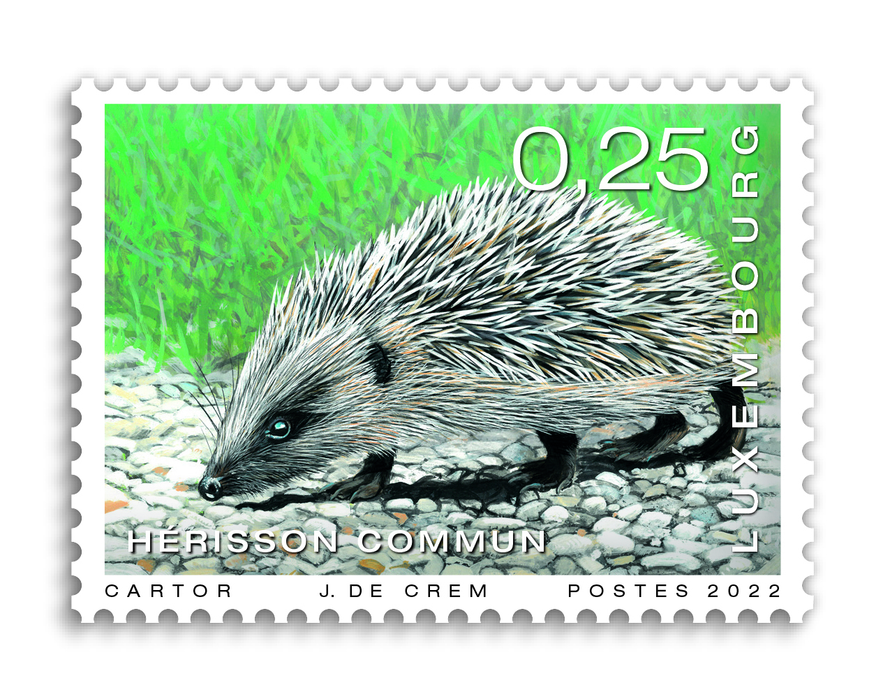 Tiere - Igel