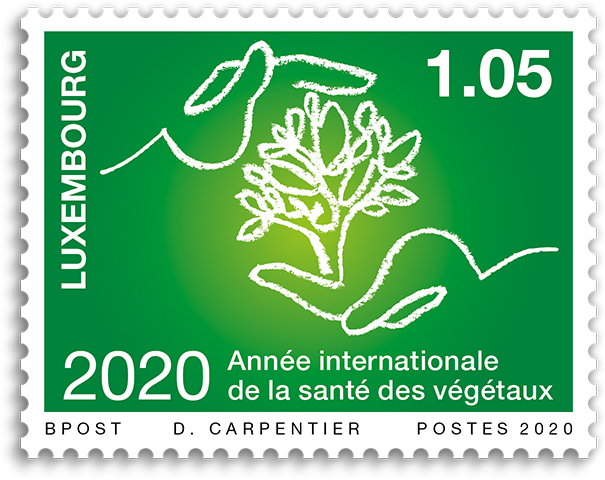 International year of Plant Health